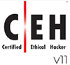 Certified Ethical Hacker (CEH)