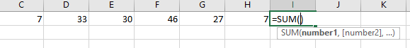 Step Two: Type =SUM() in the cell