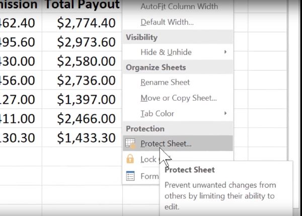 Step 3: Protect the Worksheet